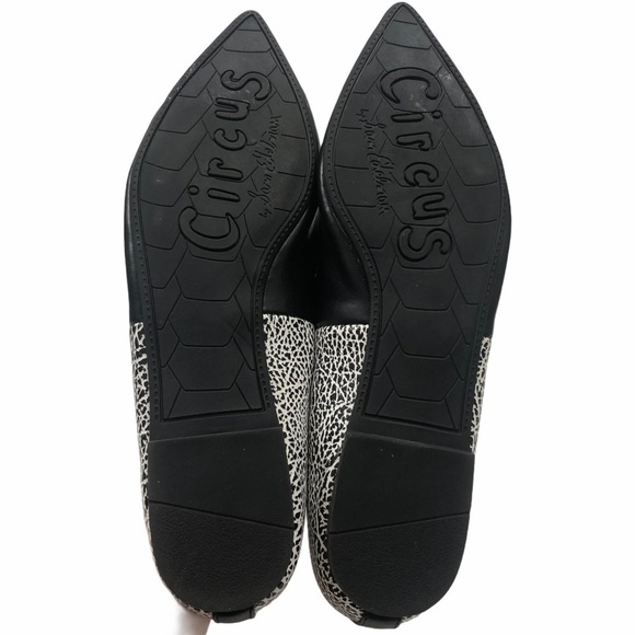Circus by Sam Edelman Ellissa Pointed Toe Flat 7.5 Crackle Print Black White - Picture 10 of 12